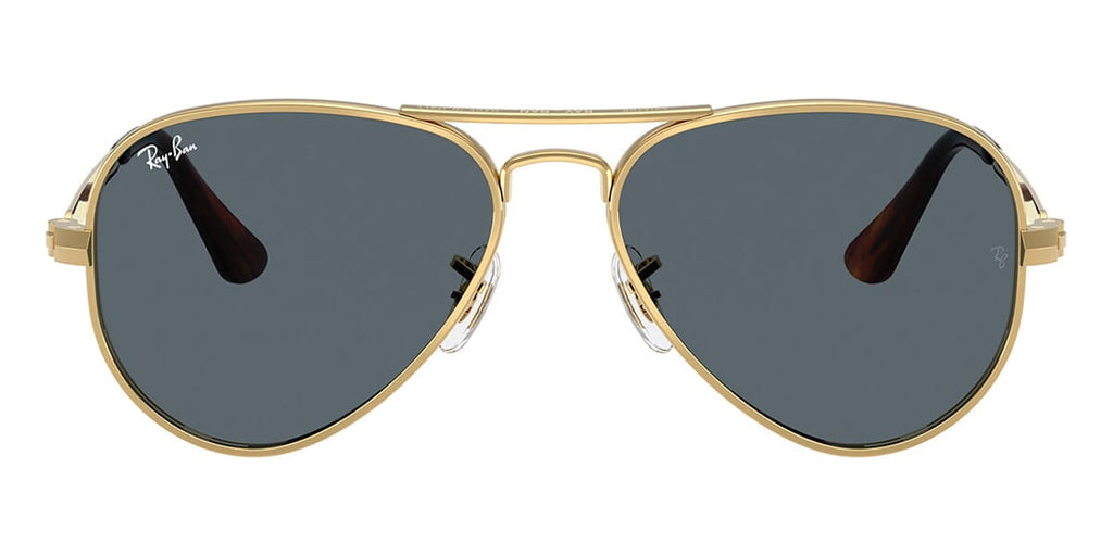 Ray-Ban Aviator Max RB 3925 001/R5