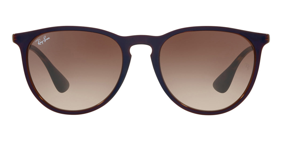 Ray-Ban Erika RB 4171 6315/13 - As Seen On Kai Trump & Agustin Tapia