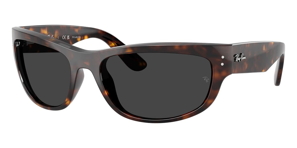 Ray-Ban Mega Balorama RB 2289 902/48 Polarised