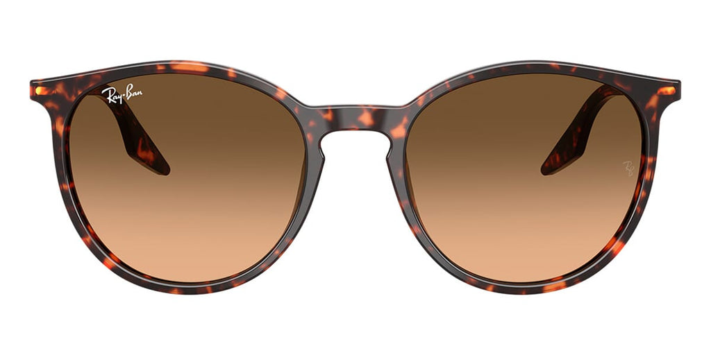 Ray-Ban RB 2204 1429/3B