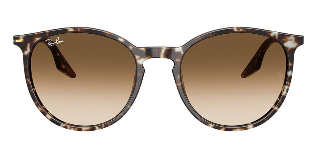 Ray-Ban RB 2204 1431/51