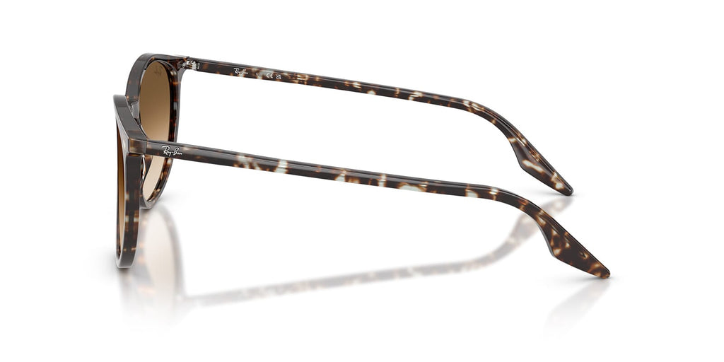 Ray-Ban RB 2204 1431/51
