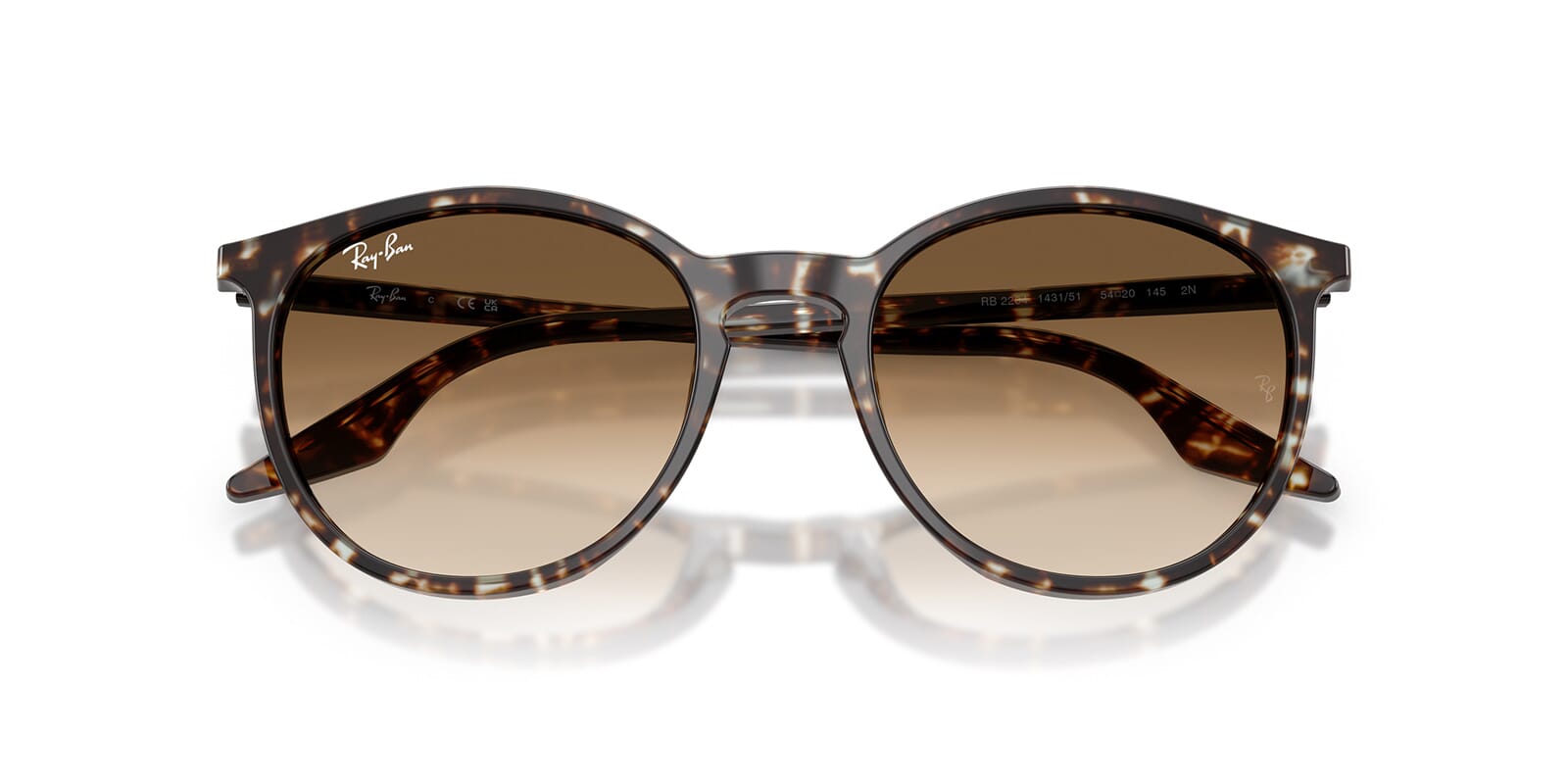 Ray-Ban RB 2204 1431/51