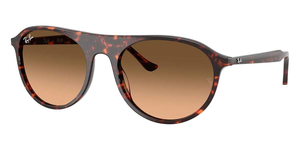 Ray-Ban RB 2215 1429/3B