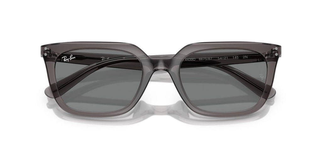 Ray-Ban RB 4439D 6675/87