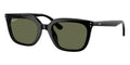 Ray-Ban RB 4439D 901/9A Polarised