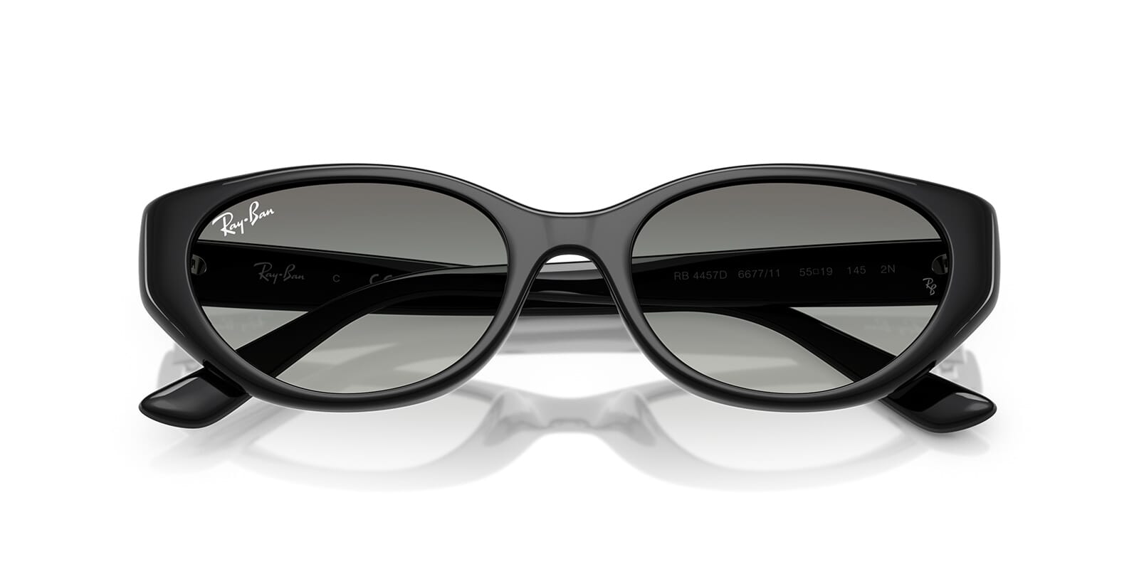 Ray-Ban RB 4457D 6677/11