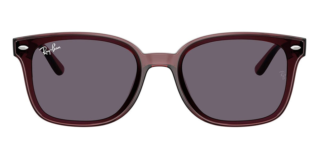 Ray-Ban RB 4461D 6593/73