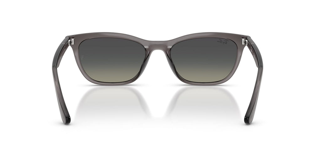 Ray-Ban RB 4474D 6675/11