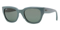 Ray Ban RB 4178 891/71