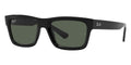 Ray-Ban Warren RB 4396 6677/71