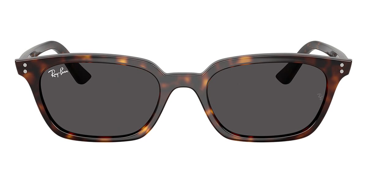 Ray-Ban Zaya RB 4456 1359/87 - As Seen On Aron Piper